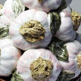 Vintage trompe-l’œil garlic pyramid in glazed ceramic from Manises, Spain.