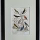 Original ornithological plate " Goldfinch - Grand Tangara -&c..." Buffon (1837)