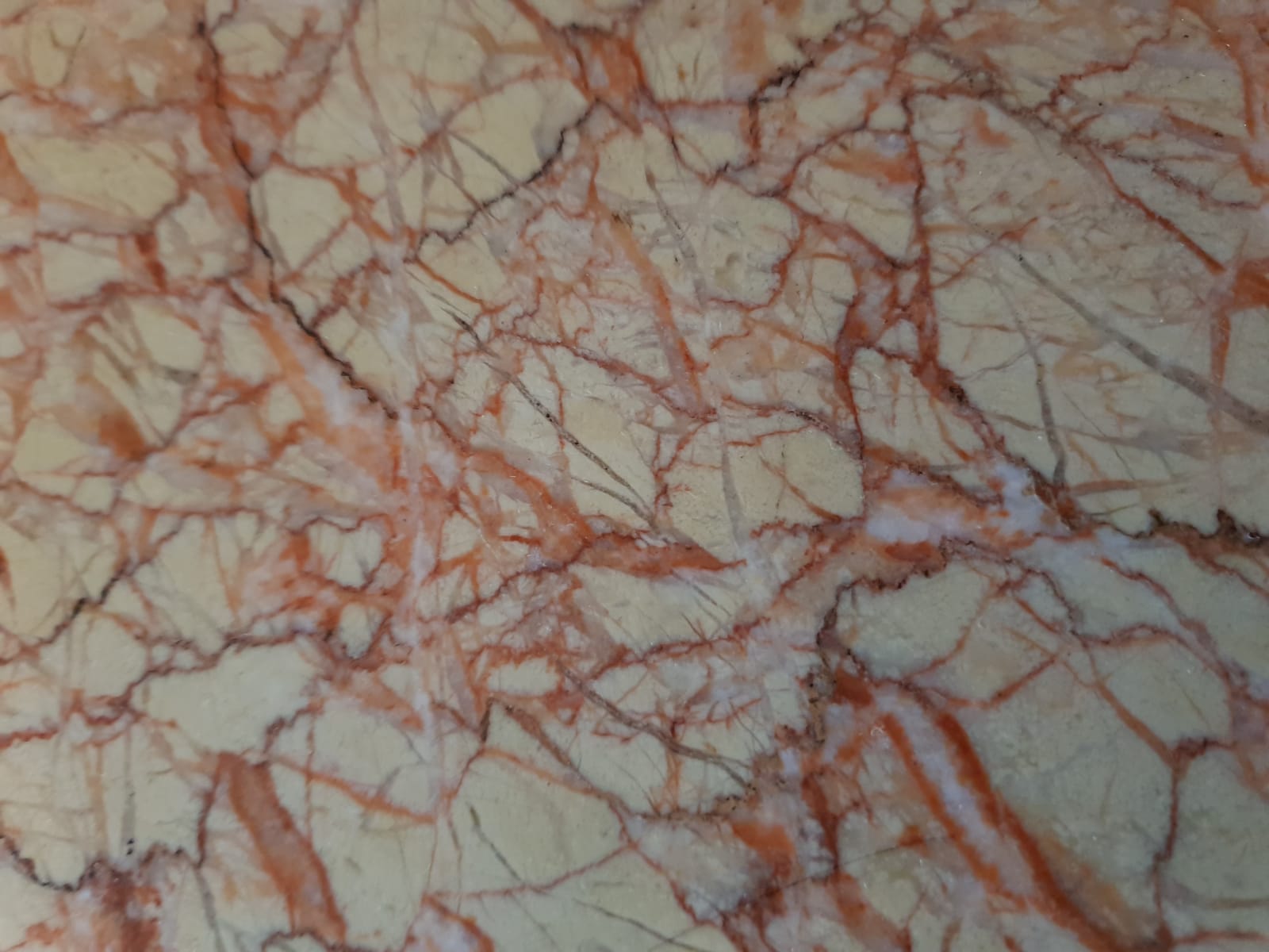 Art Deco showcase sideboard in merisier et zebrano