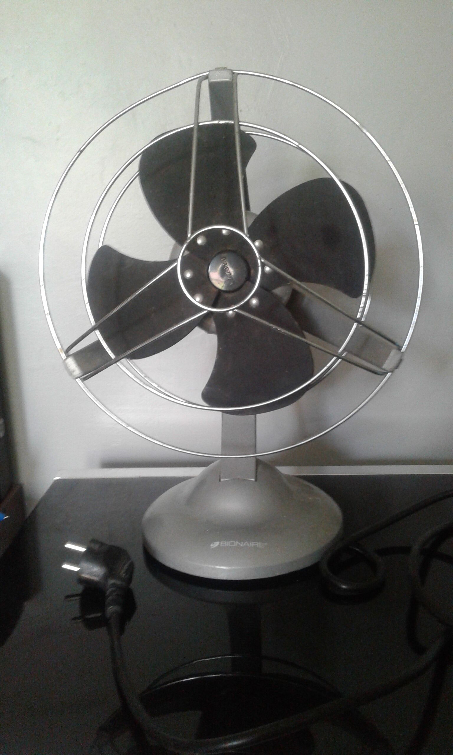 Functional Bionaire fan