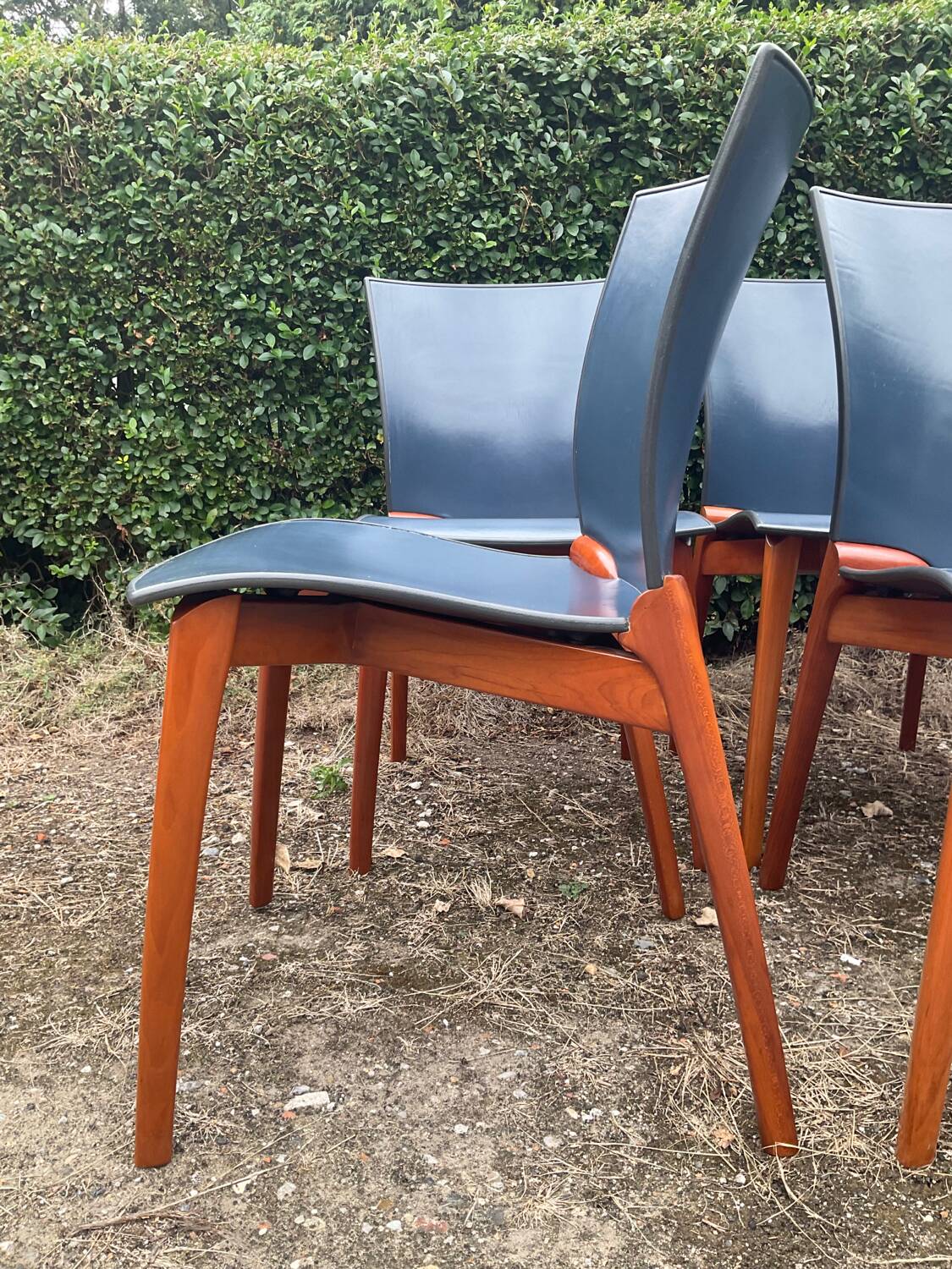 Série de 6 chaises Cassina par Josep Llusca