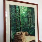 Tableau, dessin encadré sur le thème de la forêt