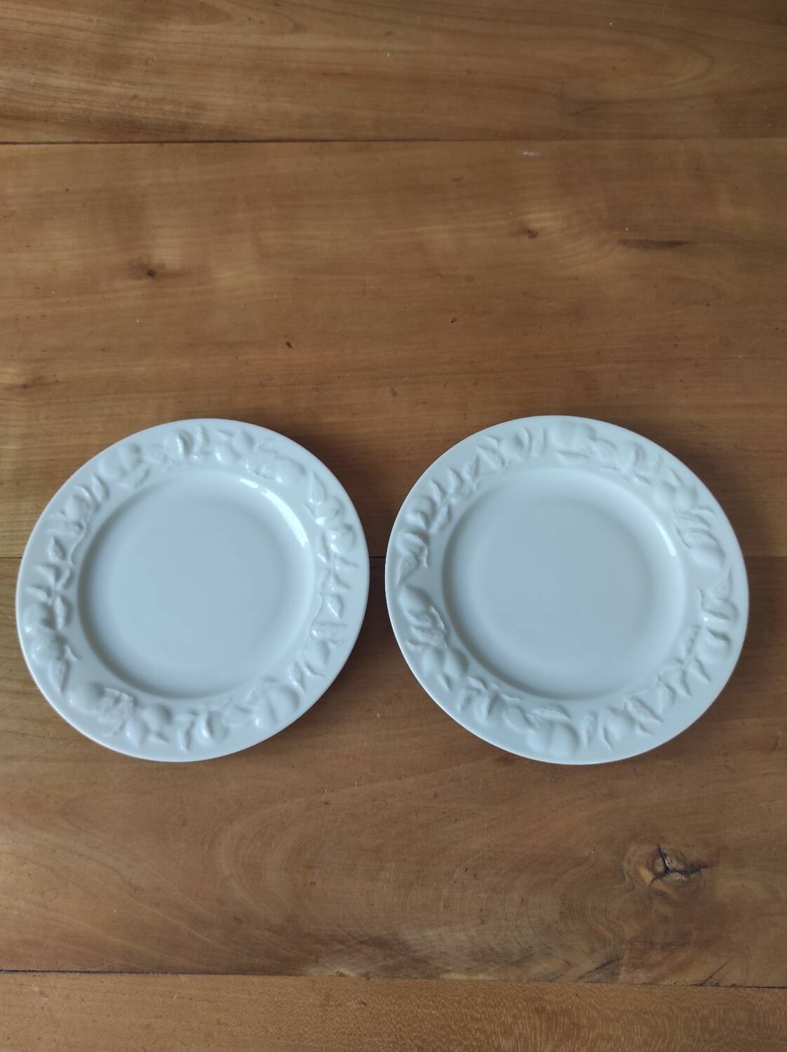 Set of 2 Limoges porcelain plates with Riviera decor