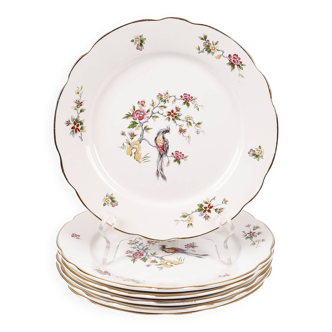 Set of 6 flat plates, Condé de Digoin Sarreguemines model.