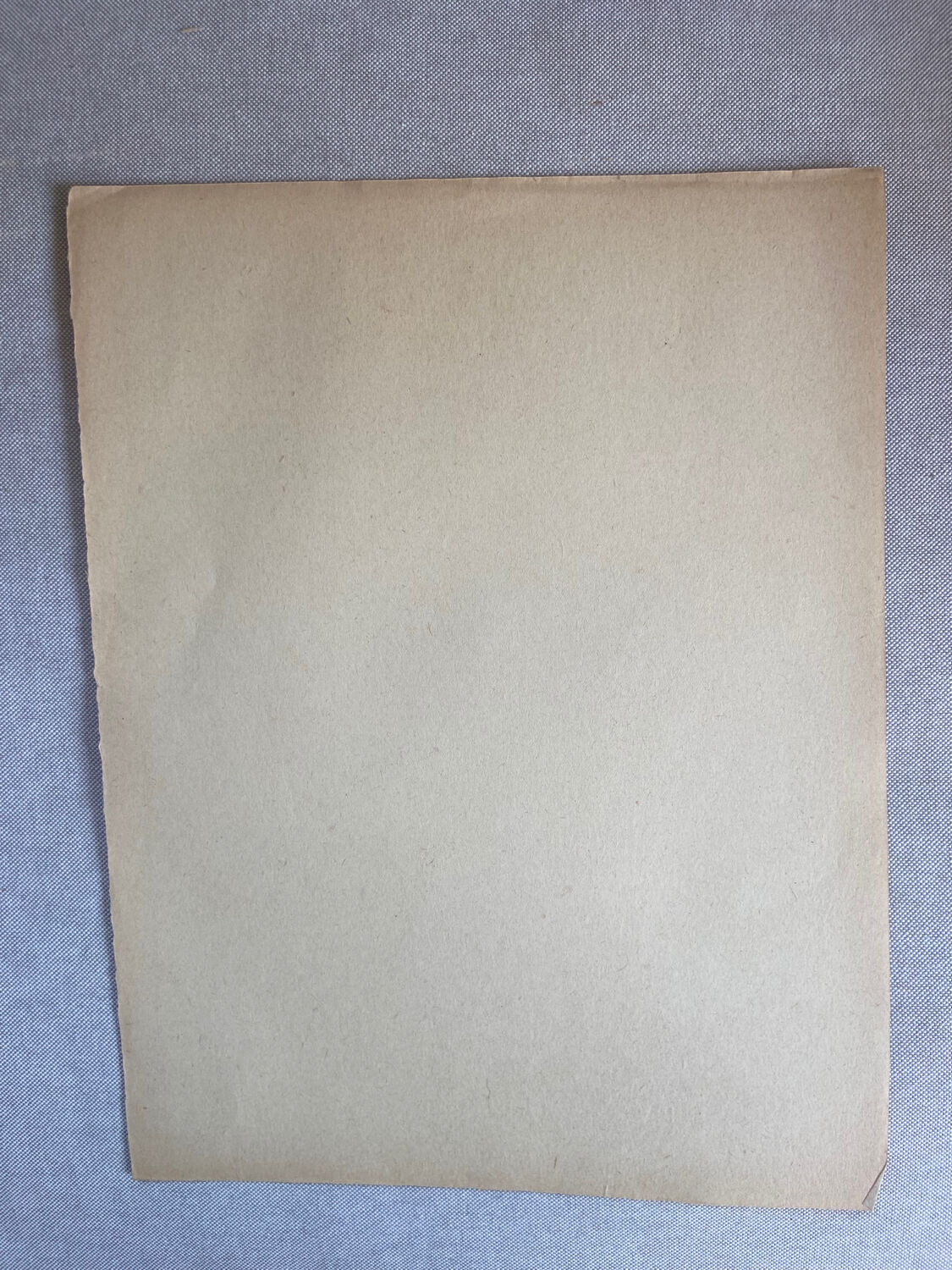 Female nude drawing