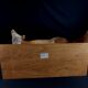 European red fox naturalized taxidermy