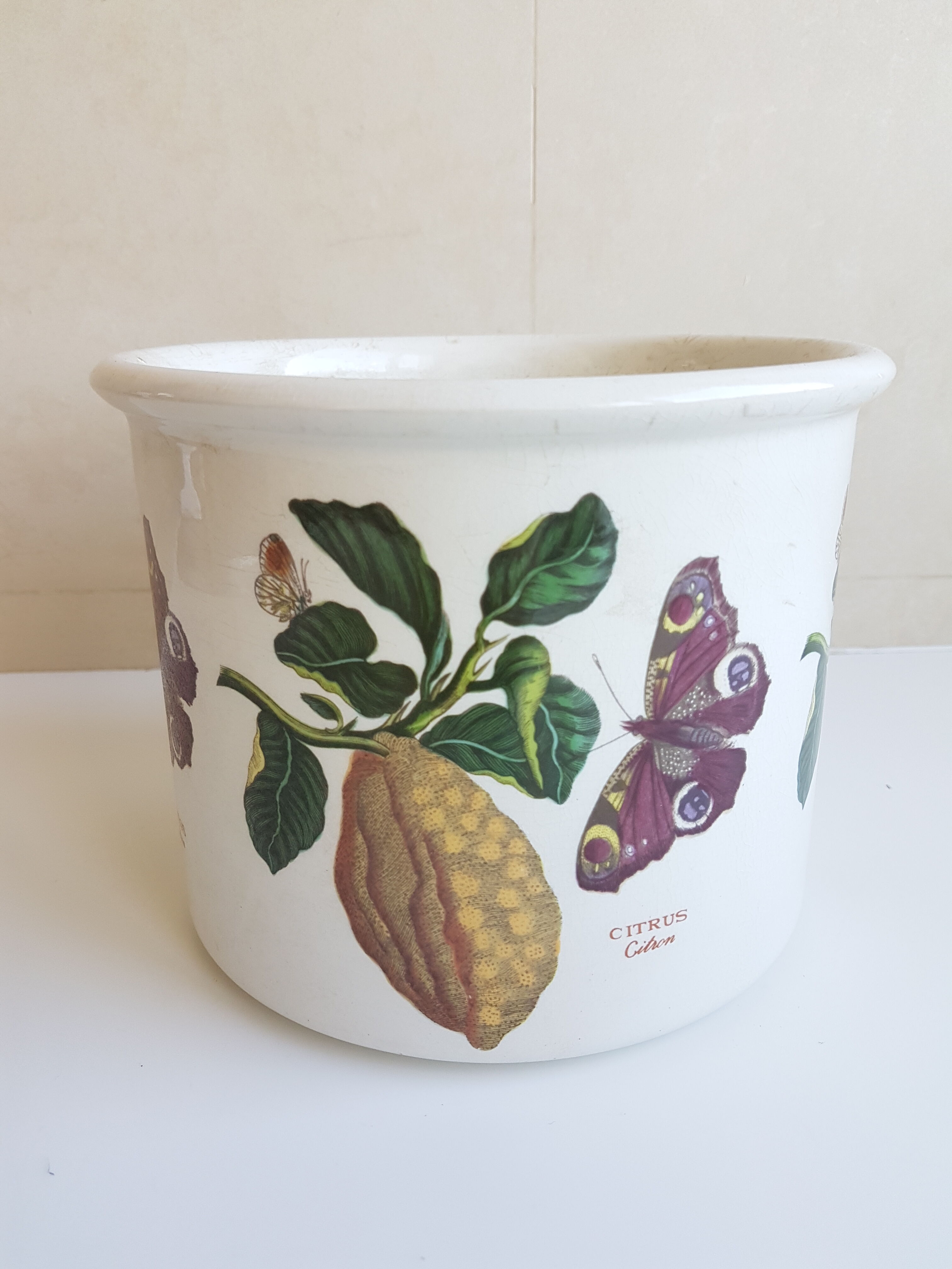 Cache pot portmeirion 1970 england