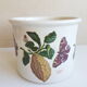 Cache pot portmeirion 1970 england