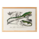 Poster for “The Iguana and the Green Lizard”, after an old engraving from 1