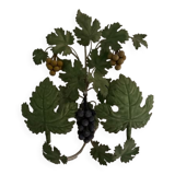 Applies doule bunches of grapes