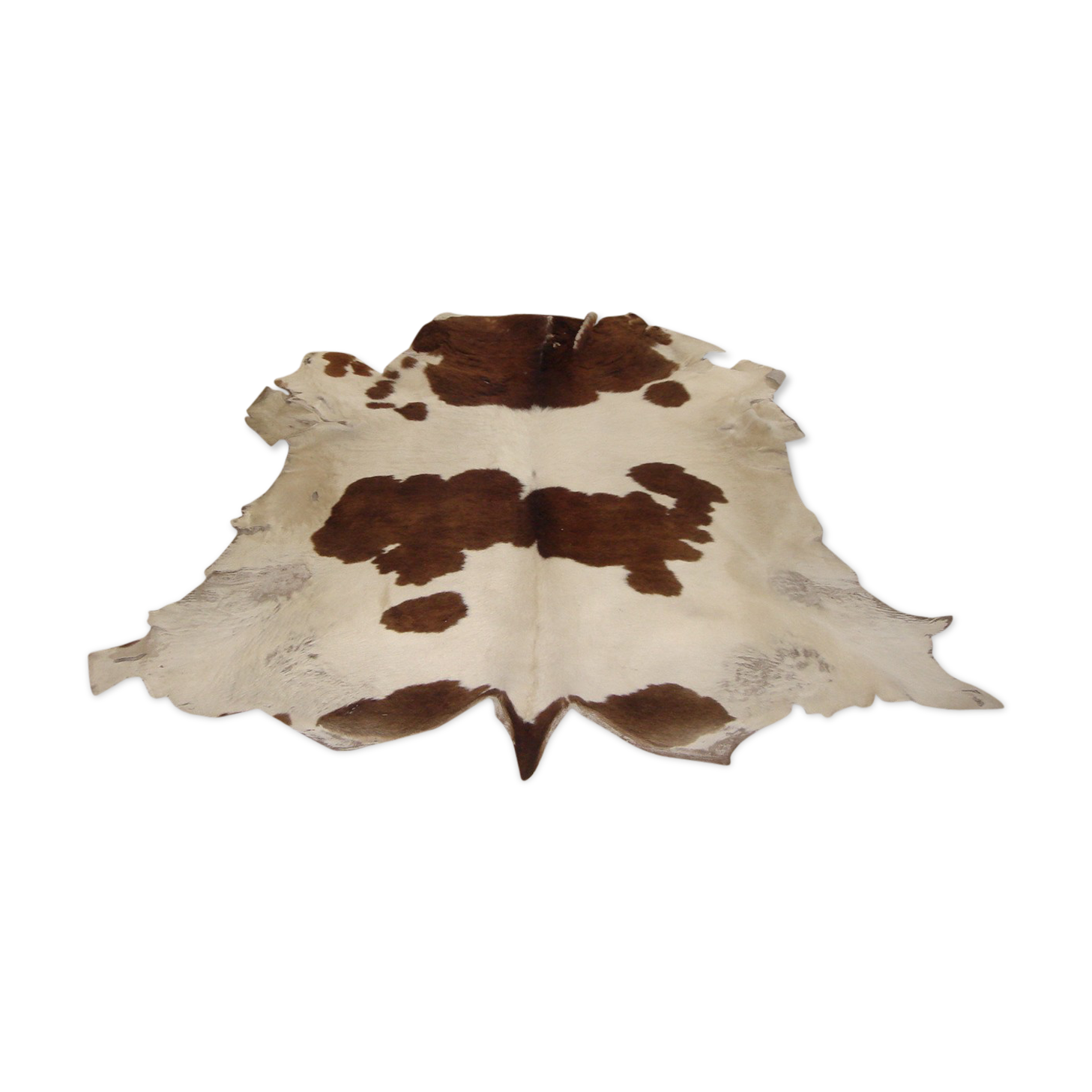 Tanned calf skin