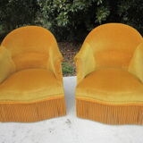 Pair of armchairs velvet Toad