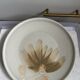 Ensemble de 4 assiettes en céramique vintage par Sarreguemines années 1970 florales