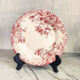 Assiette terre de fer