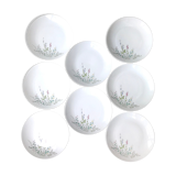 Set of 8 large vintage porcelain plates