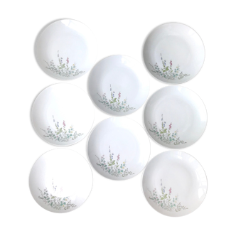 Set of 8 large vintage porcelain plates