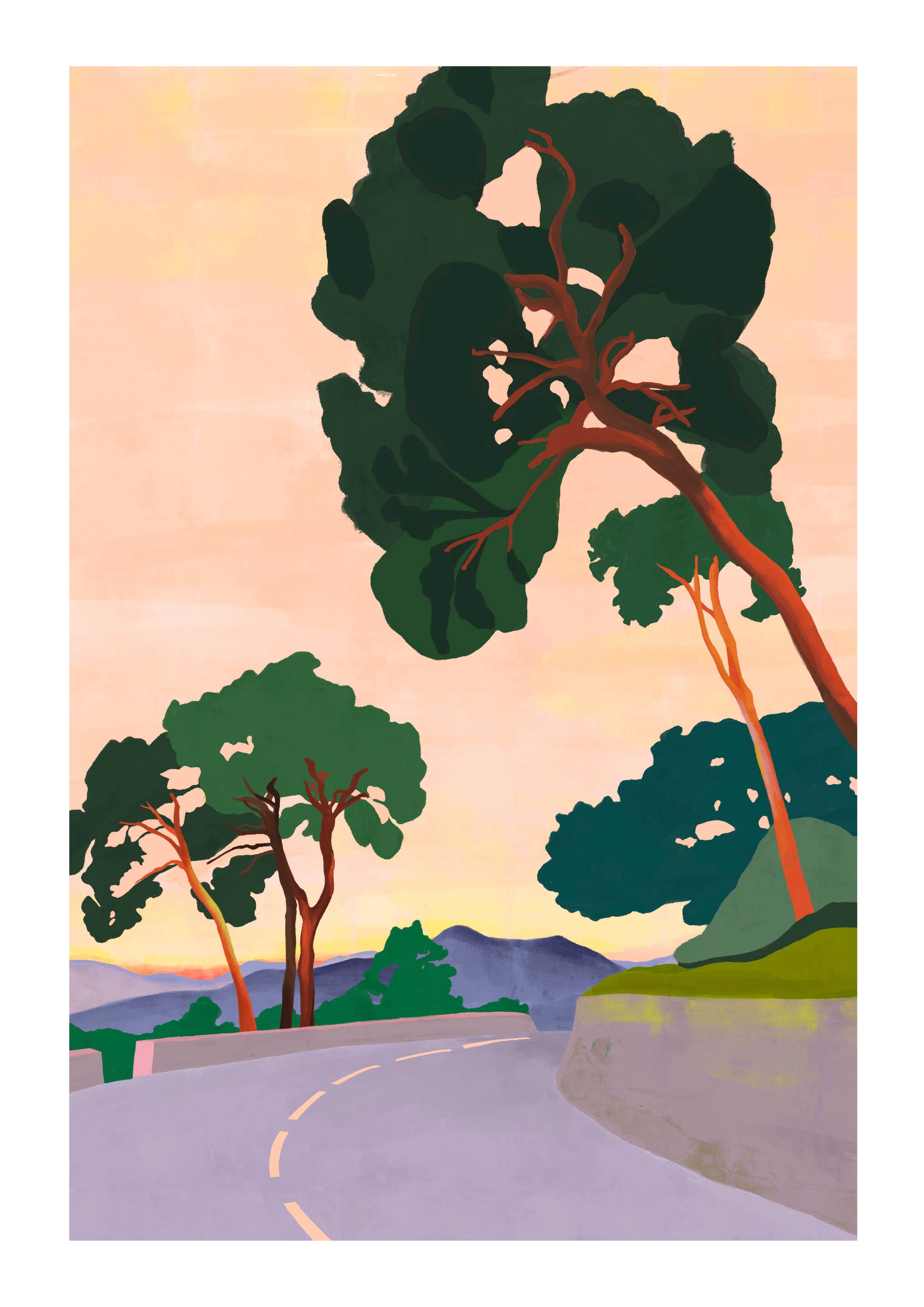 Les hauteurs de Nice - Tirage d'art (A3)