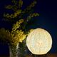 Vintage Art Deco globe table lamp in yellow Clichy glass.