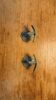 Vintage coat hooks