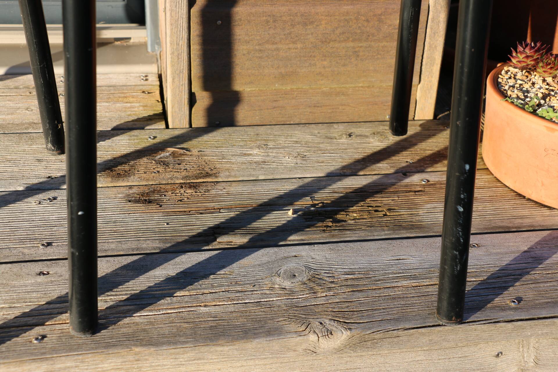 Tubor Chair by Ecart International