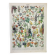 Old engraving 1898, Flowers and plants (annuals), botany • Original and vintage lithograph