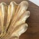 Immense wooden plate 1900 shell with golden patina