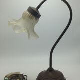 Old brass with tulip gooseneck light