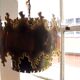 Svend Aage Holm Sorensen Danish brass pedant lamp