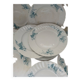 12 antique ironstone dinner plates