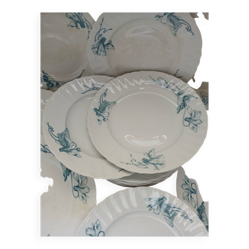 12 antique ironstone dinner plates