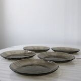 Lot 5 glass plates Arcoroc France smoked pattern flower crocus vintage CANTERBURY