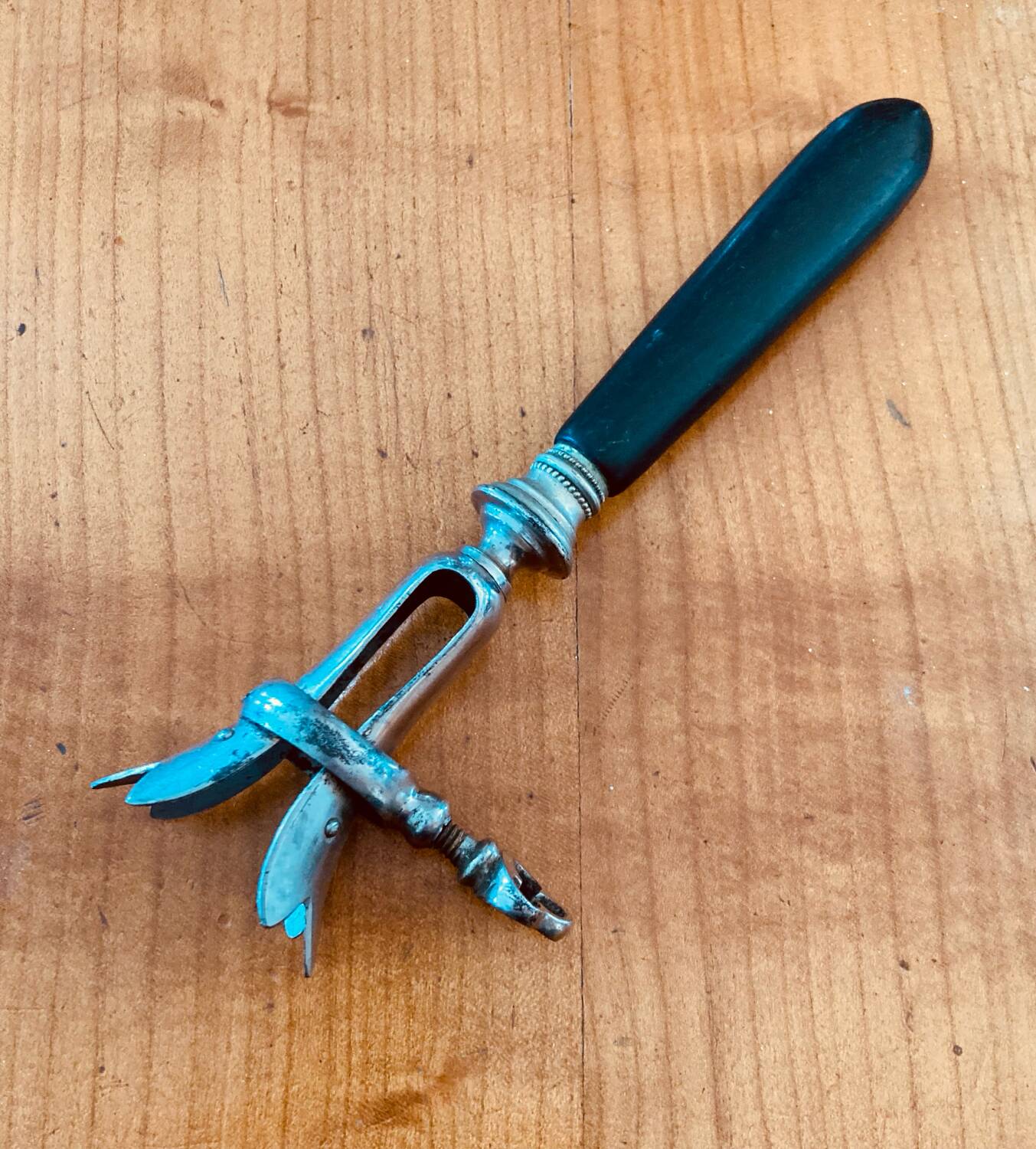 Napoleon III leg of lamb fork from the 19th century with a silver-plated handle and an ebony handle.