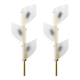 J.T. Kalmar Two Pairs of Large Floral Wall Sconces Auguri in Brass, Austria, 1950s