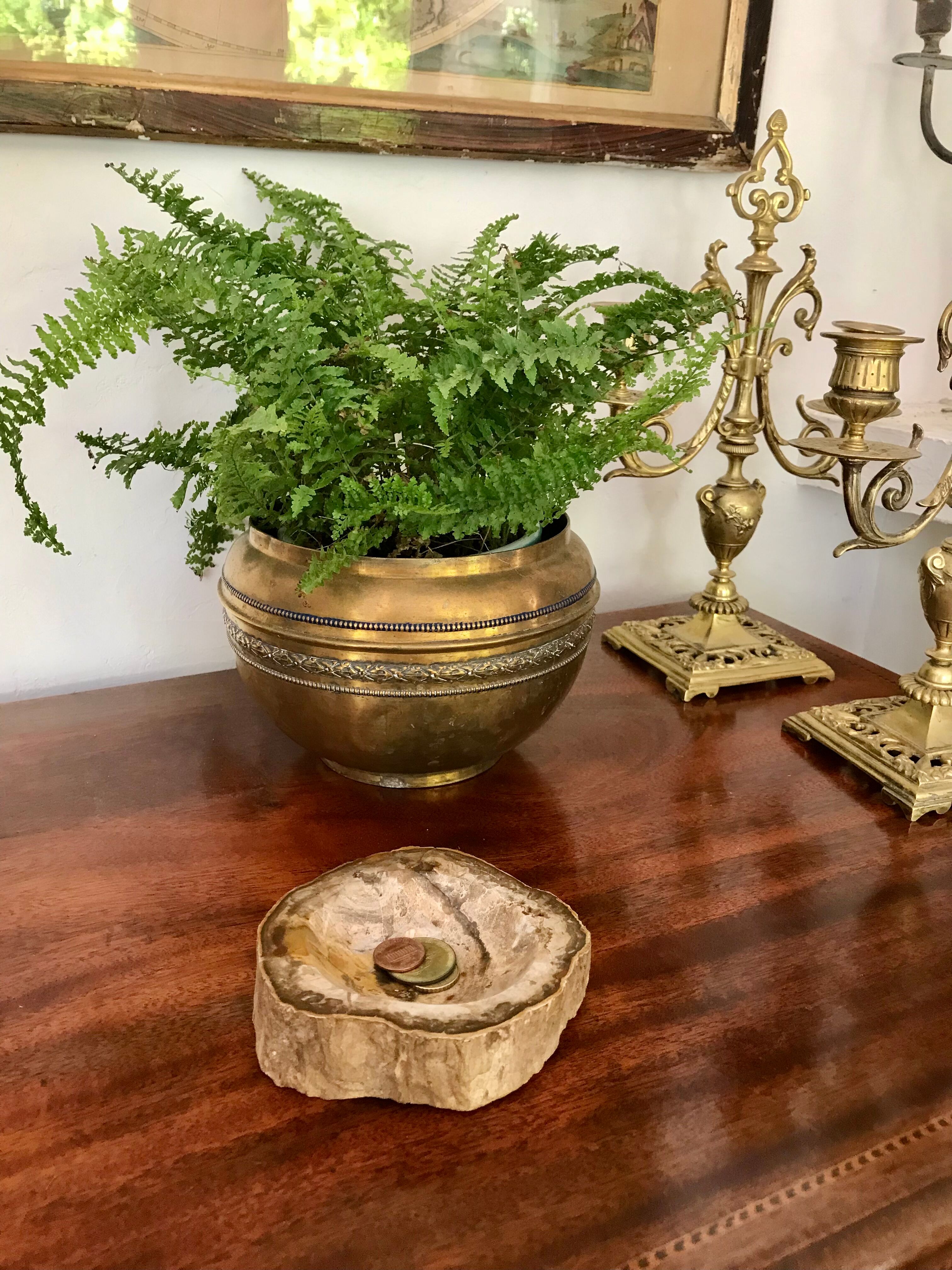 Petrified wooden ashtray