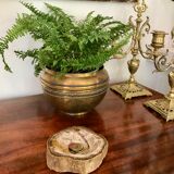 Petrified wooden ashtray