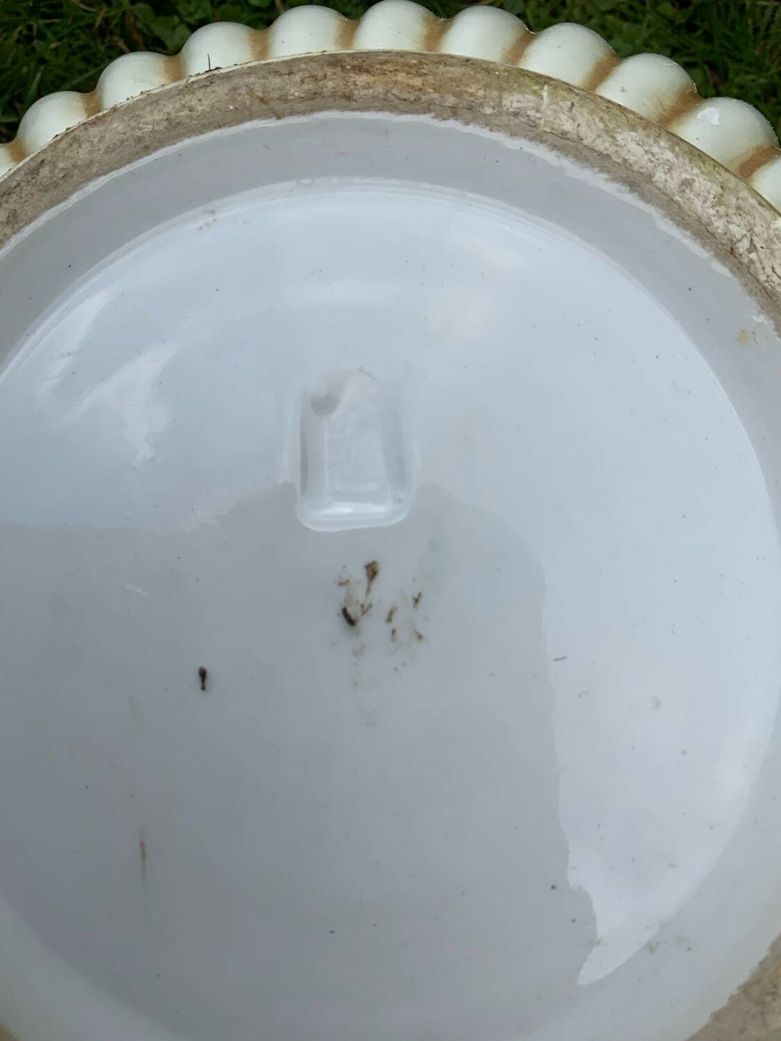 Vintage hand-painted flower pot