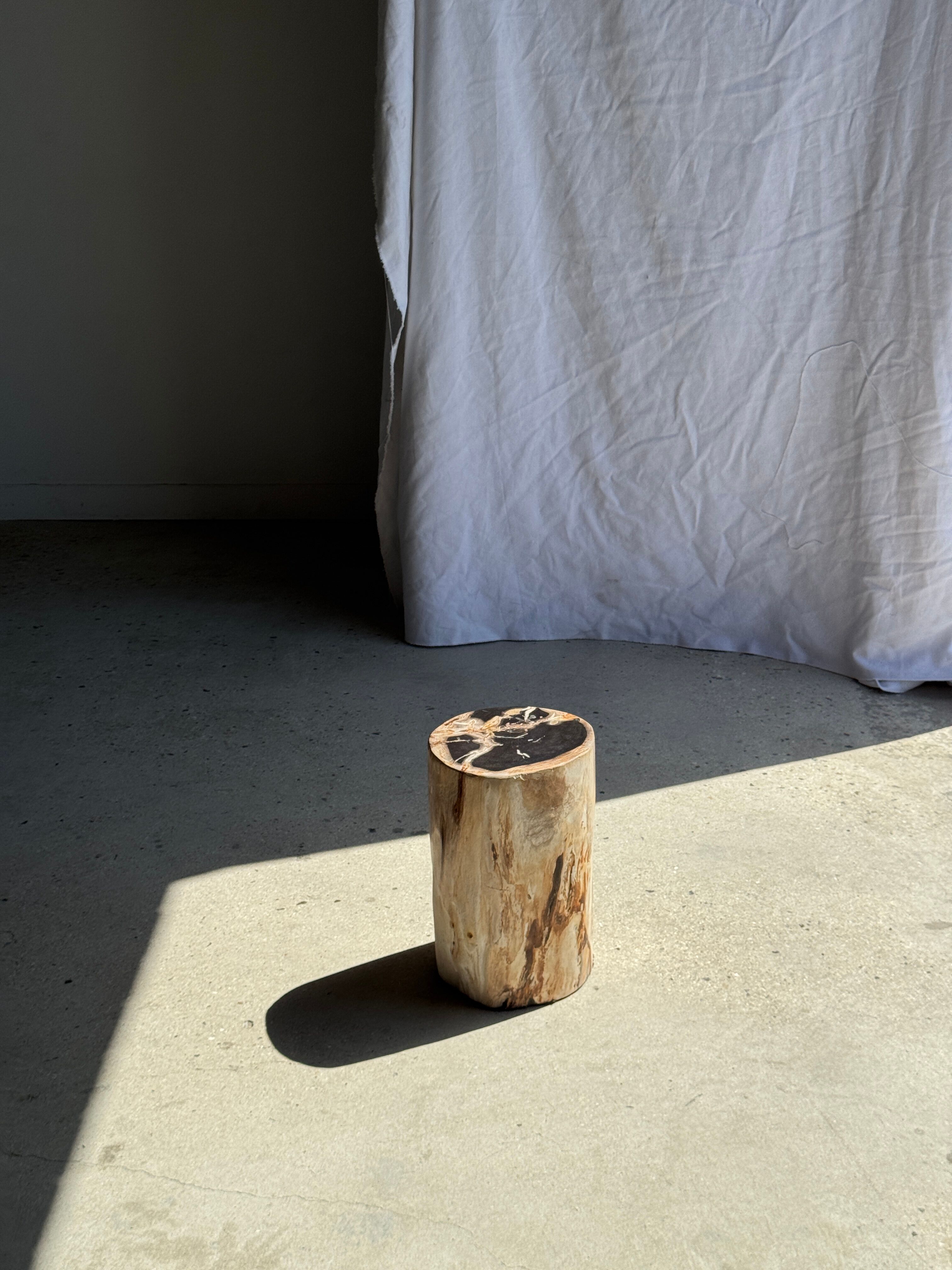 Petrified wood side table, black heart, beige bark, H35 D22 - 3330