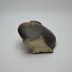 Gilbert Méténier's flamed sandstone newt bottlened vase