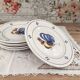 Set of 6 flat plates in earthenware with rooster design.