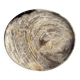 Petrified wood catchall or dish, grey with black rim, D29.5x25.5 -3321