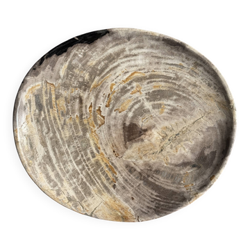 Petrified wood catchall or dish, grey with black rim, D29.5x25.5 -3321