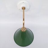 Swan neck and enamelled sheet metal wall light