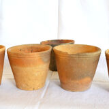 5 old terracotta pots