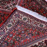 Bidjar wool 66x158cm