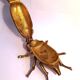 Ashtray with lid in the shape of a beetle in gilt bronze