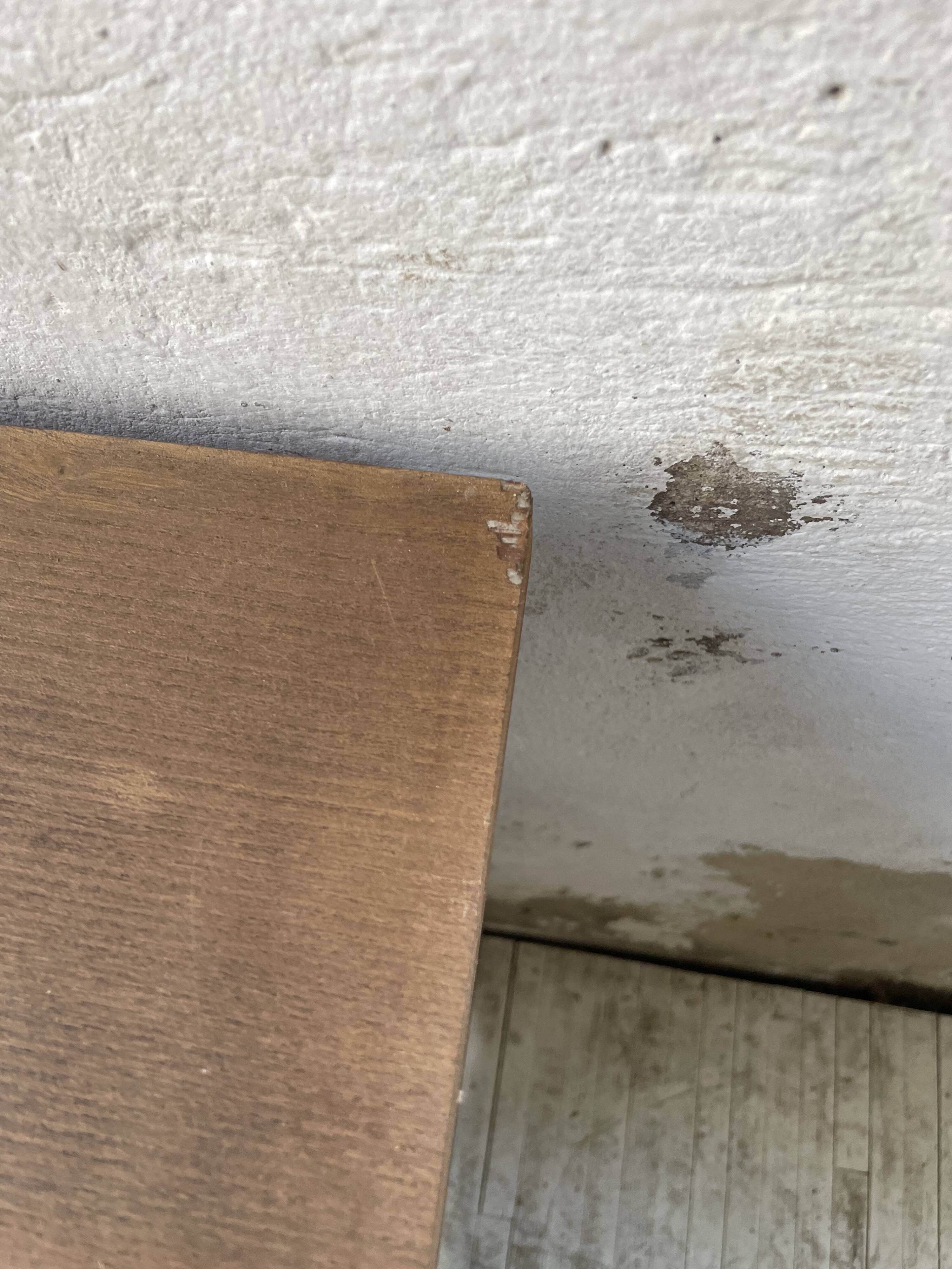 Brutalist desk in elm, signed Aranjou.