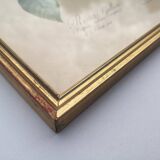 Framed lithograph by Pierre-Joseph Redouté