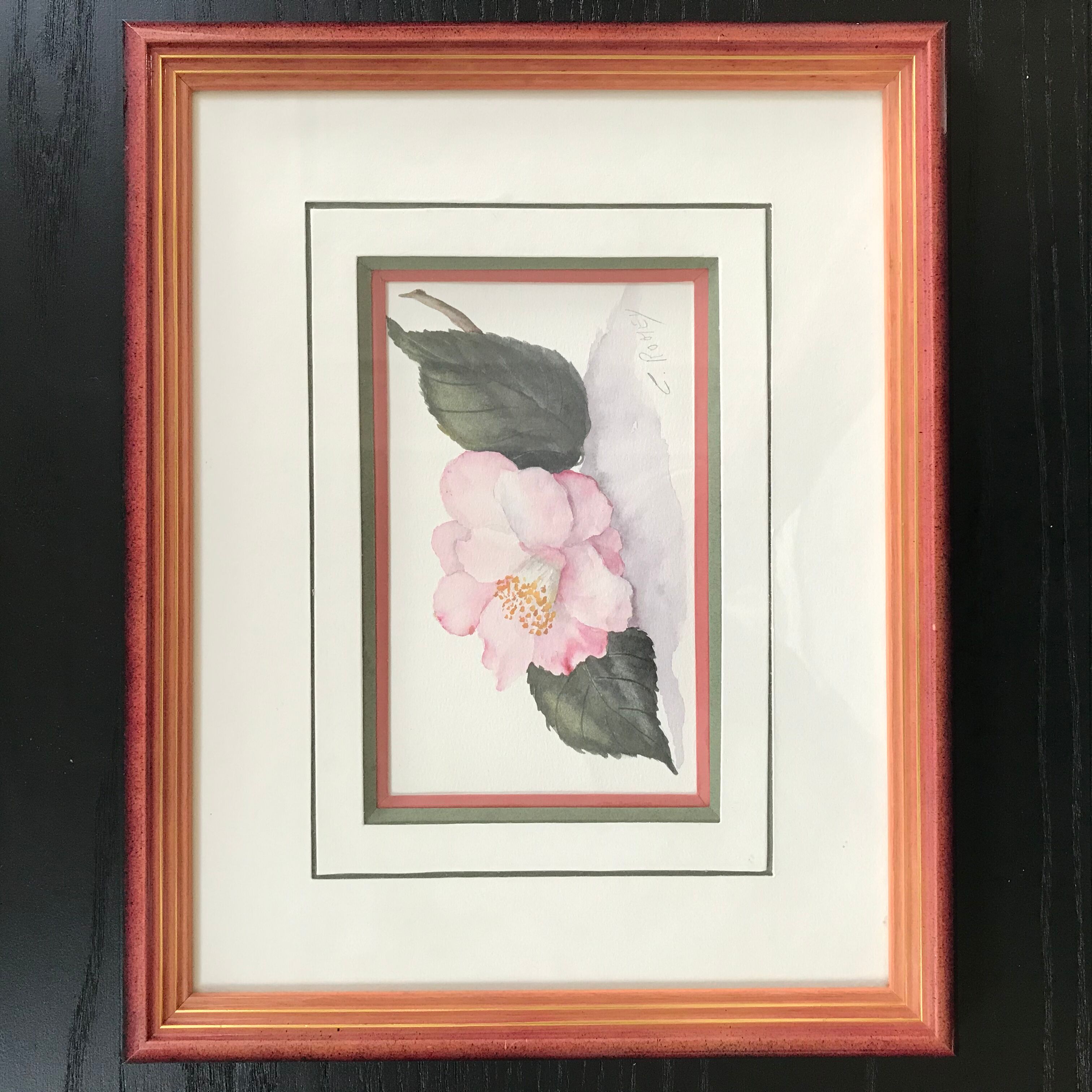 Botanical watercolour signed and framed