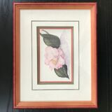 Signed and framed botanical watercolor