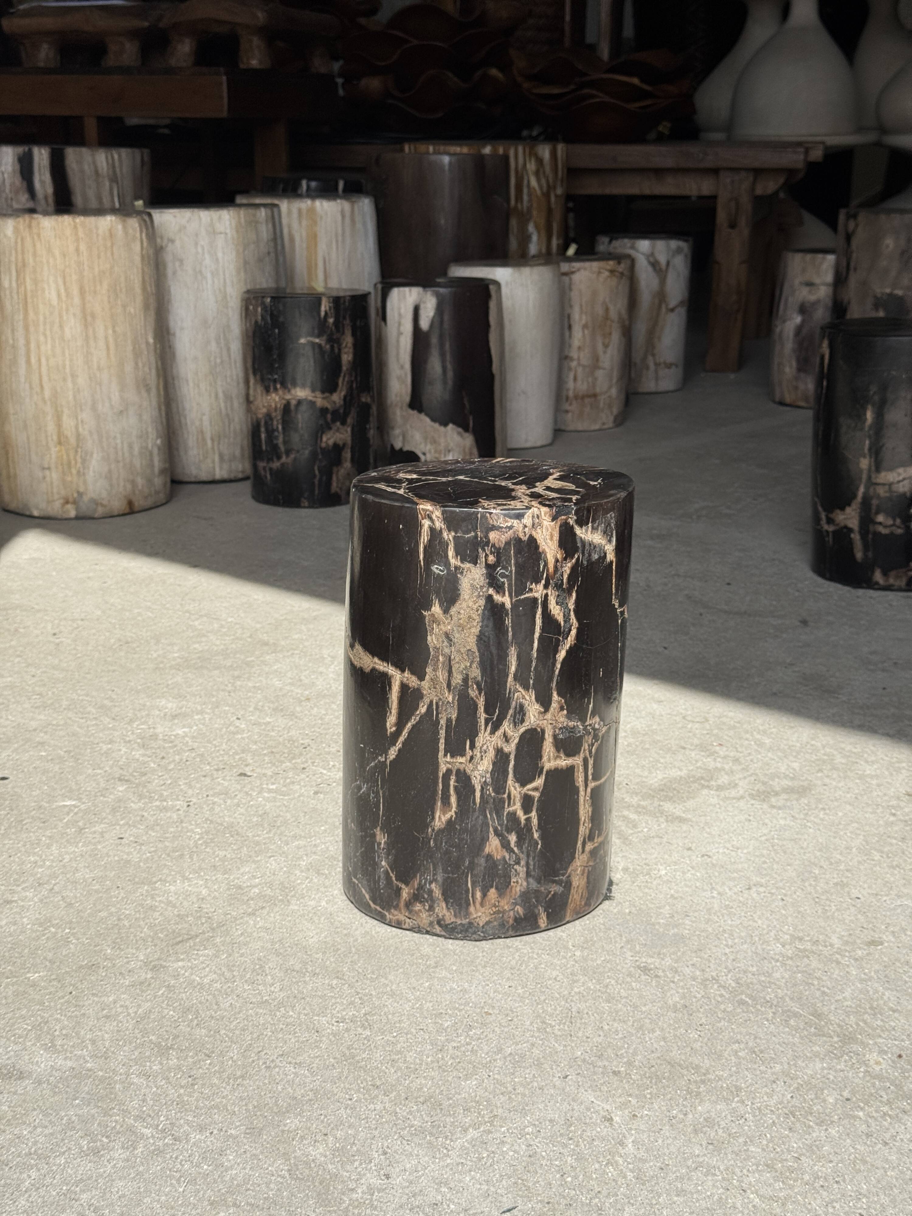 Table d'appoint en bois pétrifié noir